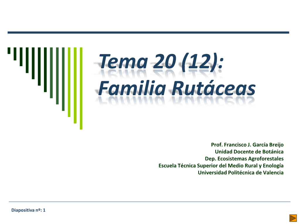 Tema 20 (12): Familia Rutáceas