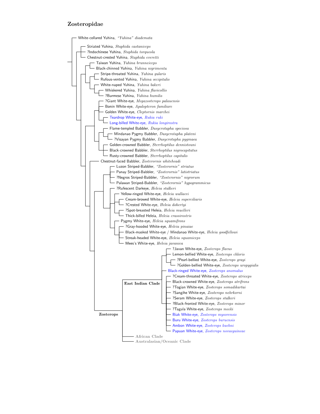 Zosteropidae Species Tree