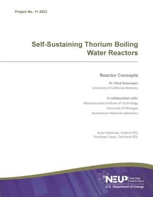 Self-Sustaining Thorium Boiling Water Reactors