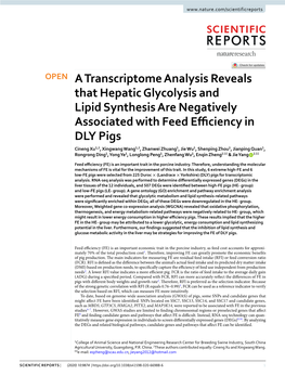A Transcriptome Analysis Reveals That Hepatic Glycolysis and Lipid