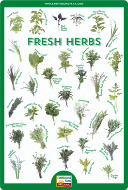 FRESH HERBS L O O F an an Chi Re Catn G G Ves N Ip E E C  H  N