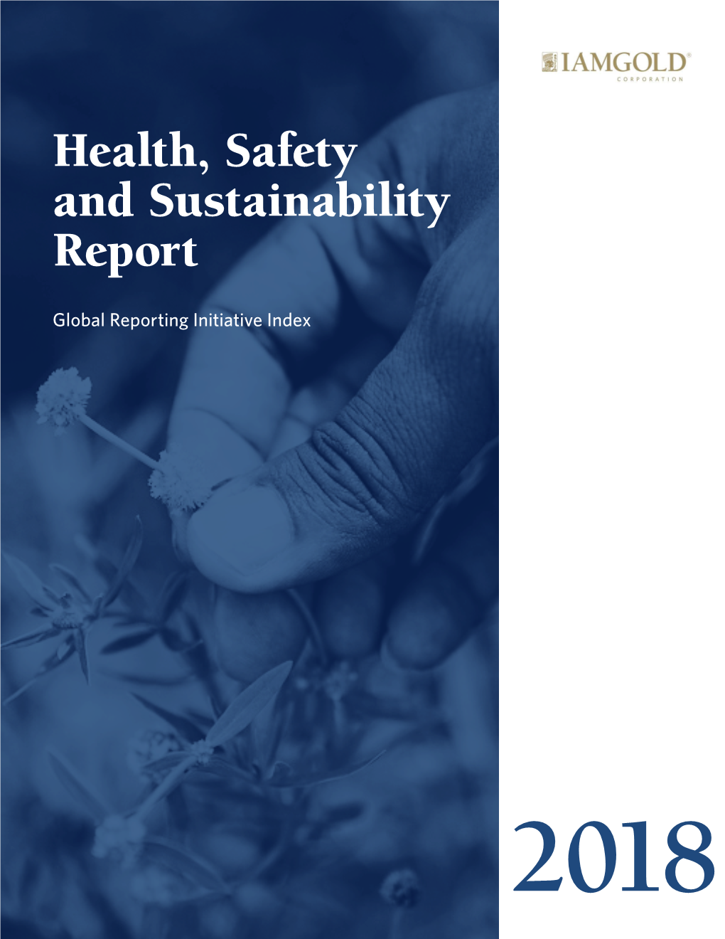 2018 Health, Safety and Sustainability Report