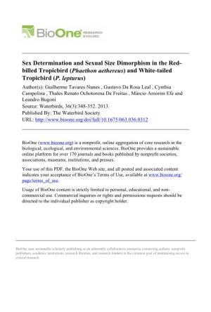 Sex Determination and Sexual Size Dimorphism in the Red- Billed Tropicbird (Phaethon Aethereus) and White-Tailed Tropicbird (P