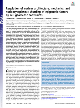 Regulation of Nuclear Architecture, Mechanics, and Nucleocytoplasmic Shuttling of Epigenetic Factors by Cell Geometric Constraints