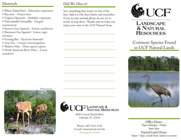 Common Species Found in UCF Natural Lands