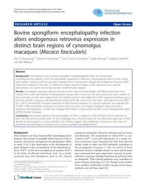 Bovine Spongiform Encephalopathy Infection Alters Endogenous