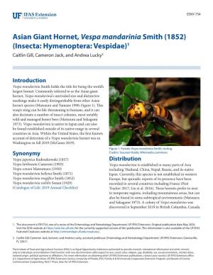 Asian Giant Hornet, Vespa Mandarinia Smith (1852) (Insecta: Hymenoptera: Vespidae)1 Caitlin Gill, Cameron Jack, and Andrea Lucky2