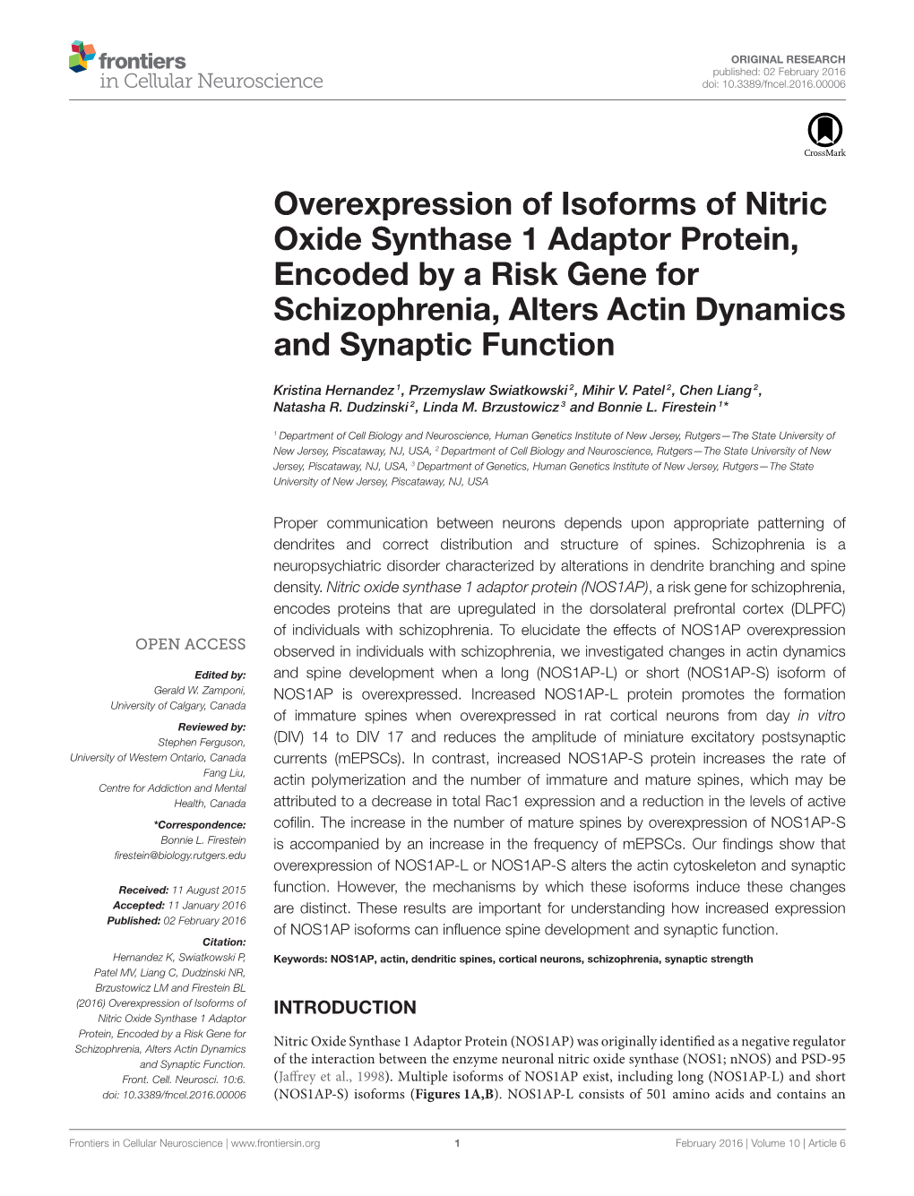 Overexpression of Isoforms of Nitric Oxide Synthase 1 Adaptor Protein, Encoded by a Risk Gene for Schizophrenia, Alters Actin Dynamics and Synaptic Function