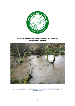Tadnoll Brook (Dorset Frome Catchment) Warmwell Estate
