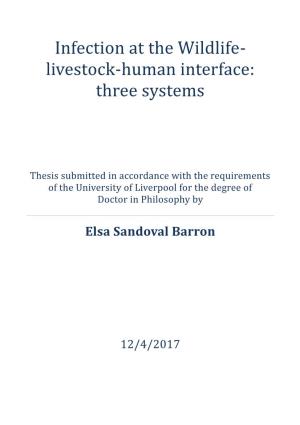 Infection at the Wildlife-Livestock-Human Interface: Three Systems