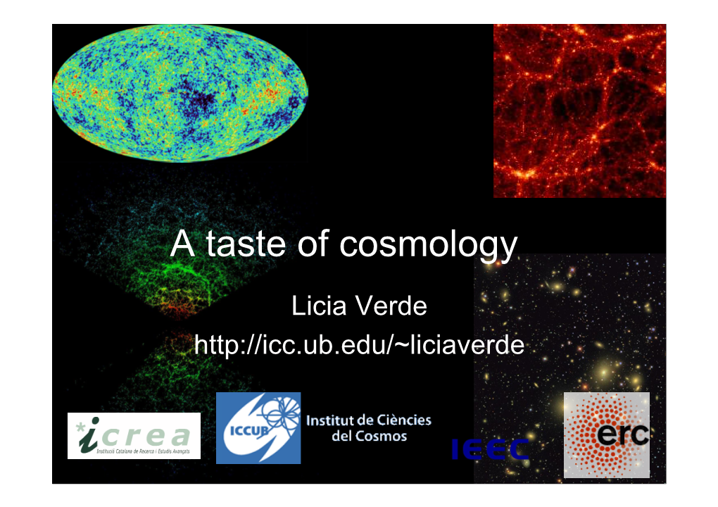 A Taste of Cosmology