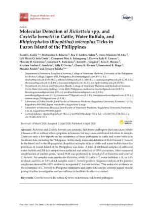 Molecular Detection of Rickettsia Spp. and Coxiella Burnetii in Cattle, Water Bu Ffalo, and Rhipicephalus (Boophilus) Microplus