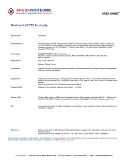 Dap-1626 Goat Anti-SEPT2 Antibody-PDF.Pdf