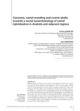 Caravans, Camel Wrestling and Cowrie Shells: Towards a Social Zooarchaeology of Camel Hybridization in Anatolia and Adjacent Regions