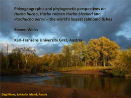 Phlyogeographic and Phylogenetic Perspectives on Hucho Hucho, Hucho Taimen Hucho Bleekeri and Parahucho Perryi – the World‘S Largest Salmonid Fishes