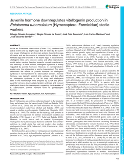 Juvenile Hormone Downregulates Vitellogenin Production in Ectatomma Tuberculatum