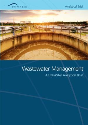 Wastewater Management a UN-Water Analytical Brief