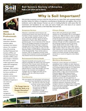 Why Is Soil Important?