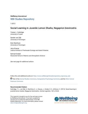 Social Learning in Juvenile Lemon Sharks, Negaprion Brevirostris