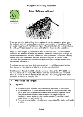 Shropshire Biodiversity Action Plan Snipe 1