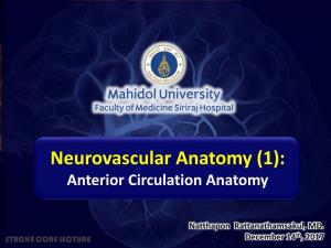 Neurovascular Anatomy (1): Anterior Circulation Anatomy