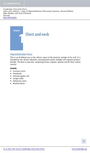 1Chest and Neck