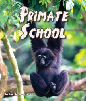 By Jennifer Keats Curtis Gorillas Using Touchscreens, Lemurs Finger Painting, Squirrel Monkeys Popping Bubbles