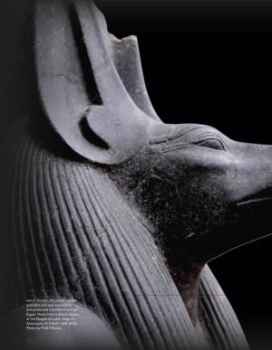 Anubis, the Jackal-Headed God Who Oversaw Embalming and Protected Travelers in Ancient Egypt