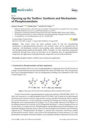 Synthesis and Mechanisms of Phosphoramidates