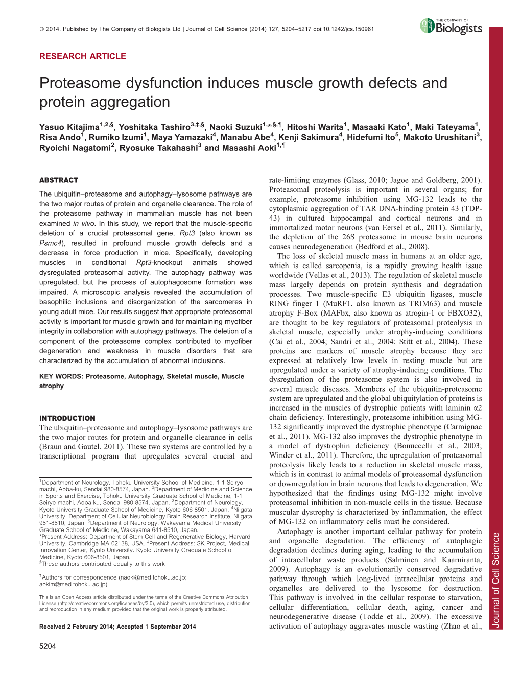 Proteasome Dysfunction Induces Muscle Growth Defects and Protein Aggregation