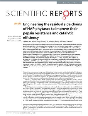 Engineering the Residual Side Chains of HAP Phytases to Improve Their