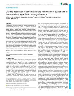 Callose Deposition Is Essential for the Completion of Cytokinesis in the Unicellular Alga Penium Margaritaceum Destiny J