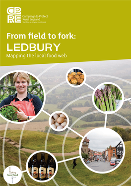 CPRE Report “From Field to Fork”