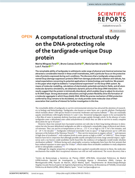 A Computational Structural Study on the DNA-Protecting Role of The