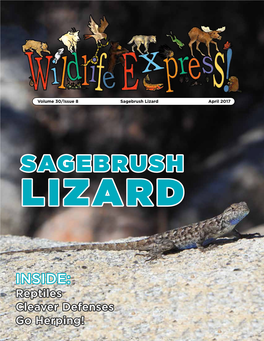 Sagebrush Lizard April 2017