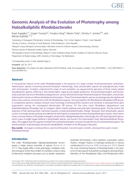 Genomic Analysis of the Evolution of Phototrophy Among Haloalkaliphilic Rhodobacterales