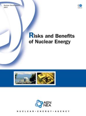 Risks and Benefits of Nuclear Energy