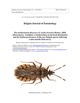 (Heteroptera: Aradidae). Considerations on the Local Distribution and the Habitat Preferences of This New Belgian Species Following a Nine-Months Field Survey