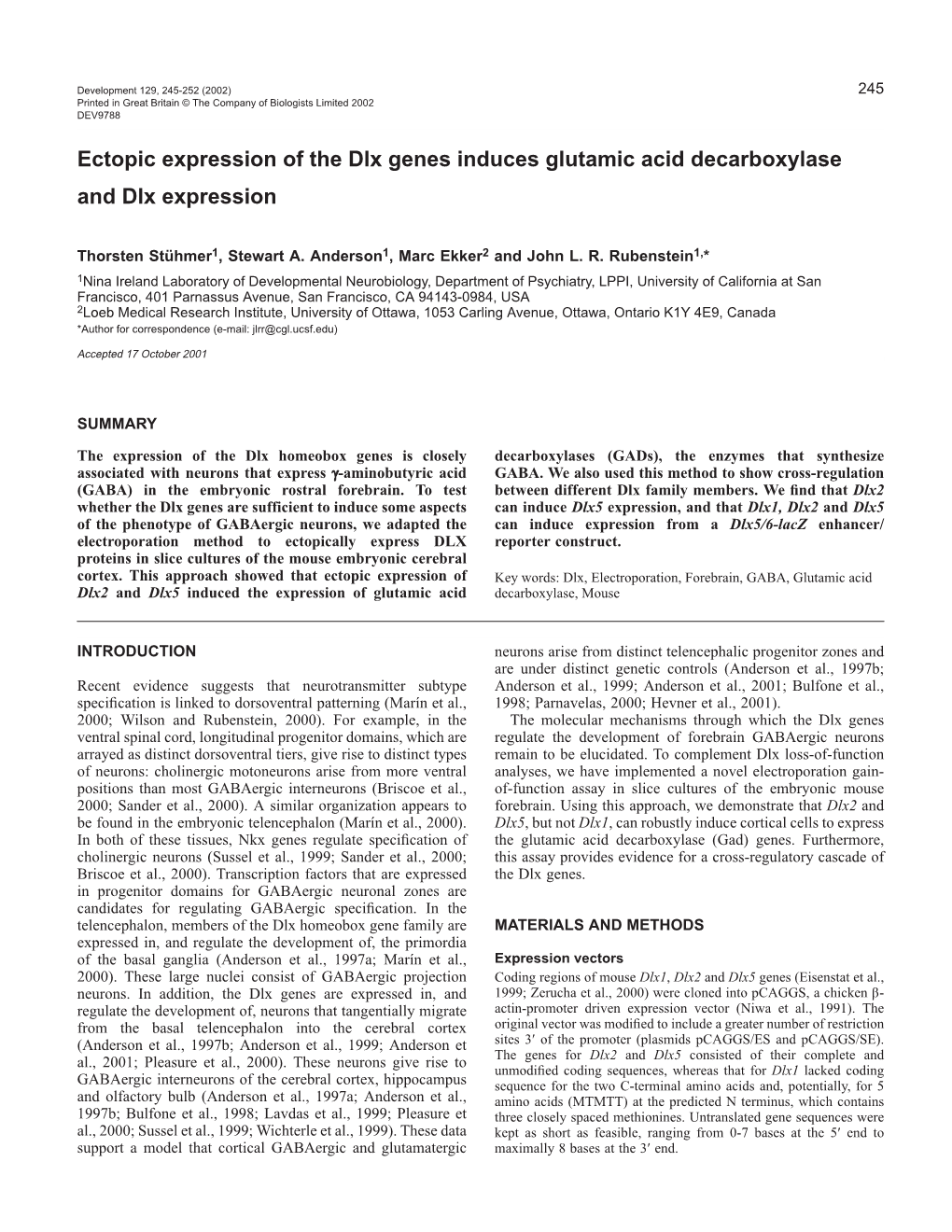 GAD and Dlx Genes 247