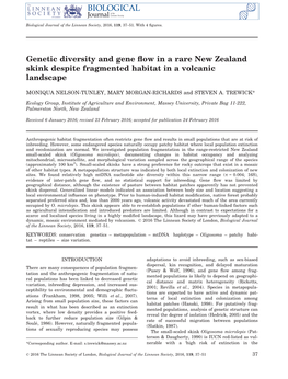 Genetic Diversity and Gene Flow in a Rare New Zealand Skink Despite