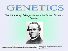 This Is the Story of Gregor Mendel – the Father of Modern Genetics