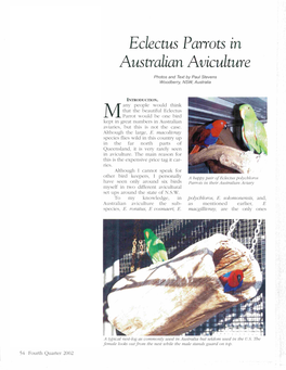 Eclectus Parrots in Australian Aviculture