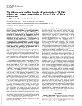 The Thioredoxin Binding Domain of Bacteriophage T7 DNA