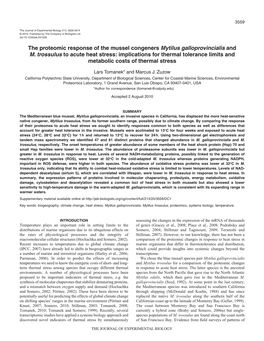 The Proteomic Response of the Mussel Congeners Mytilus Galloprovincialis and M
