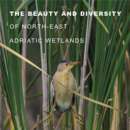 The Beauty and Diversity of North-East Adriatic Wetlands