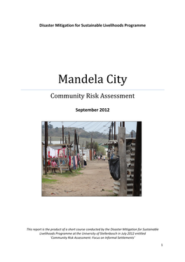 Mandela City Community Risk Assessment