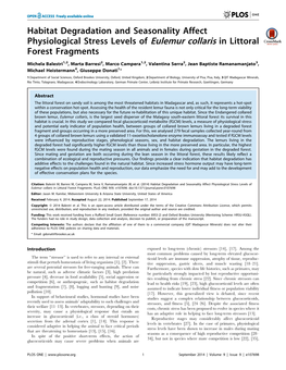 Habitat Degradation and Seasonality Affect Physiological Stress Levels of Eulemur Collaris in Littoral Forest Fragments