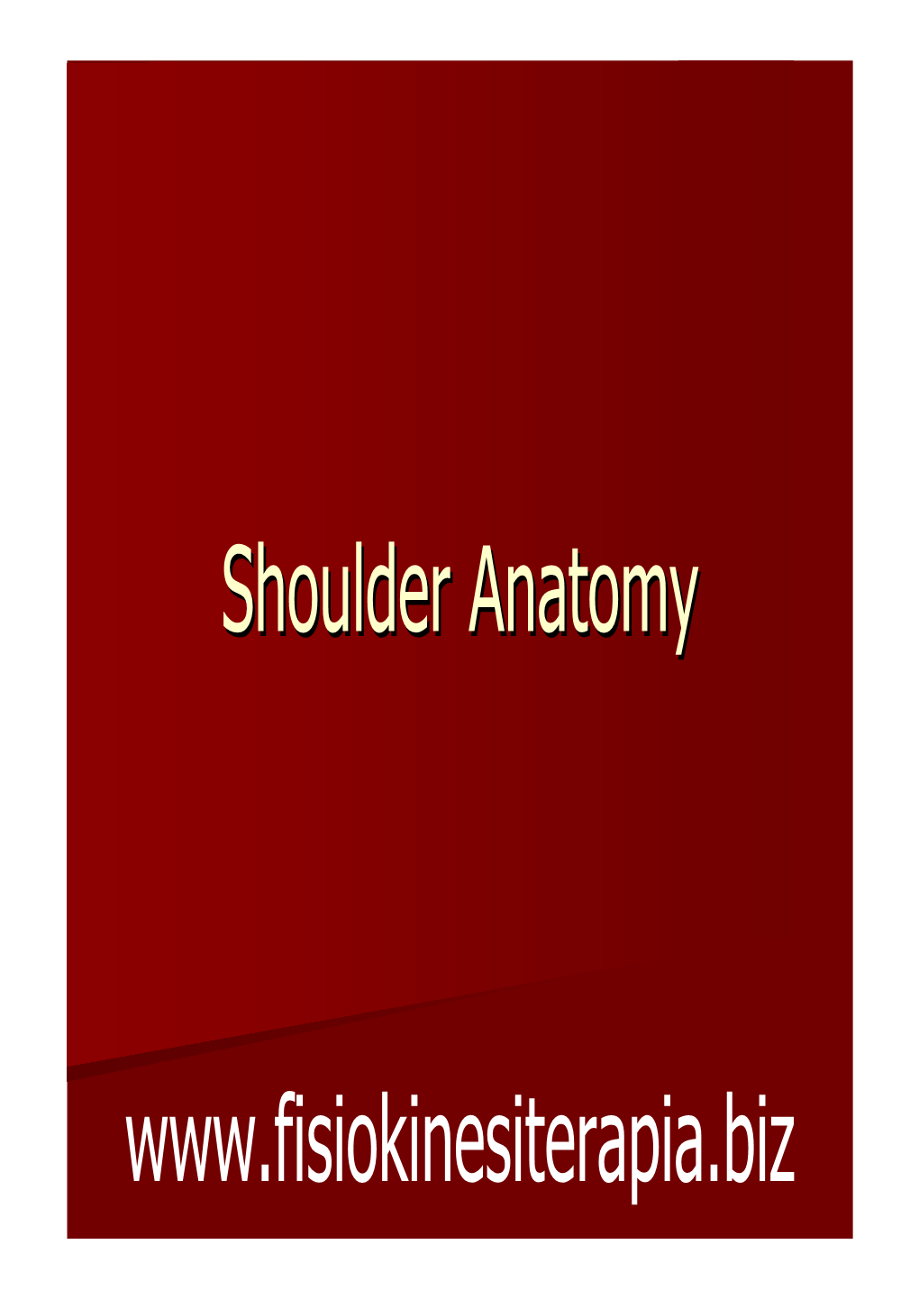 Shoulder Anatomy