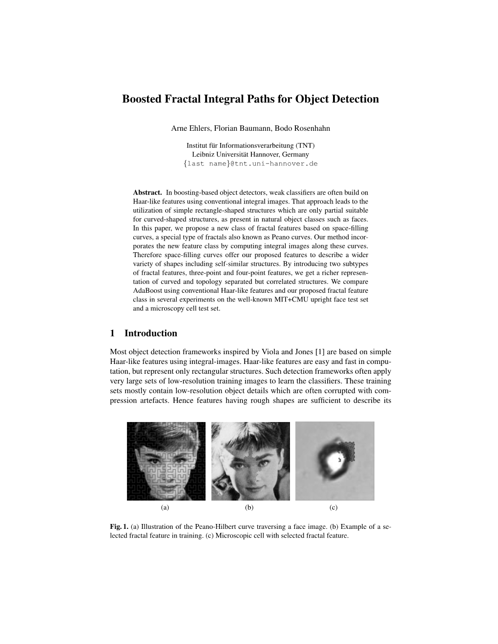 Boosted Fractal Integral Paths for Object Detection