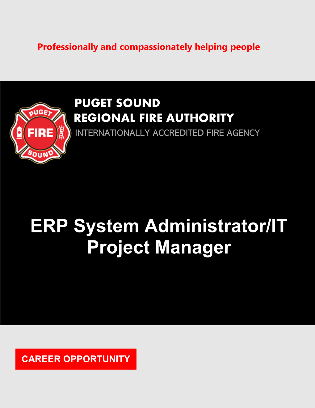 ERP System Administrator/IT Project Manager